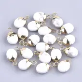Electroplate Natural Howlite Charms