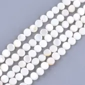 Freshwater Shell Beads Strands
