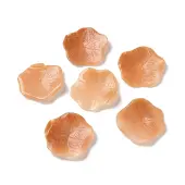 Natural Shell Beads