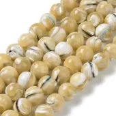 Natural Trochus Shell Beads Strands