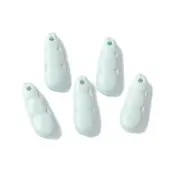 Natural Rainbow Alashan Agate Charms