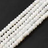 Natural Freshwater Shell Beads Strands