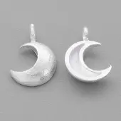 925 Sterling Silver Charms