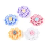 Resin Decoden Cabochons