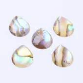 Natural Paua Shell Cabochons