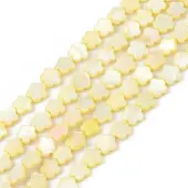 Natural Freshwater Shell Dyed Beads Strands