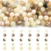 100Pcs 5 Styles Natural White Shell & Trochid Shell & Freshwater Shell Beads