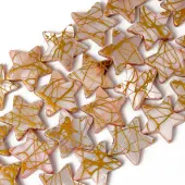 Natural Freshwater Shell Beads Strands
