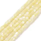 Natural Trochus Shell Beads Strands