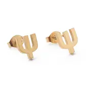 Ion Plating(IP) 304 Stainless Steel Stud Earrings