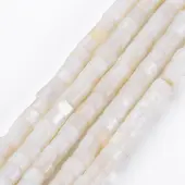 Natural Freshwater Shell Beads Strands