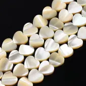 Natural Trochid Shell/Trochus Shell Bead Strands