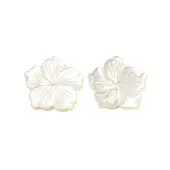 Natural White Shell Beads