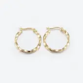 304 Stainless Steel Hoop Earrings