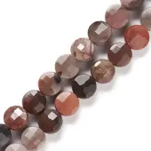 Natural Petrified Wood Beads Strands