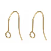 316 Surgical Stainless Steel Earring Hooks