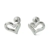 Non-Tarnish Ion Plating(IP) 304 Stainless Steel Ear Studs