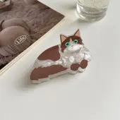 Acrylic Claw Hair Clips
