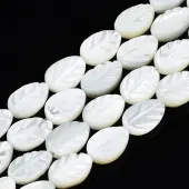 Natural Trochid Shell/Trochus Shell Beads Strands