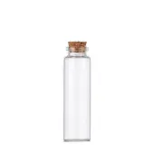 Glass Empty Wishing Bottle
