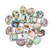 20Pcs Abalone Shell/Paua Shell Beads