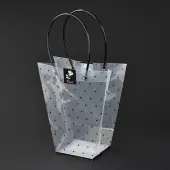 Transparent PVC Gift Bag with Handle