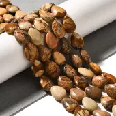 Natural Picture Jasper Beads Strands