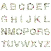 26Pcs 26 Styles Transparent Epoxy Resin Pendants