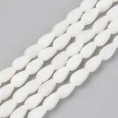 Natural Freshwater Shell Beads Strands