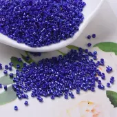 MIYUKI Delica Beads