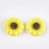 Resin Cabochons