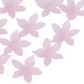 Transparent Acrylic Beads
