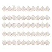 Golden Plated Alloy Charms