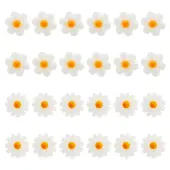 24Pcs 2 Styles Natural Freshwater Shell Beads