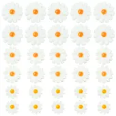 30Pcs 3 Styles Natural Freshwater Shell Beads