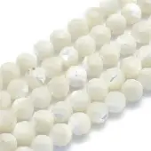 Natural White Shell Beads