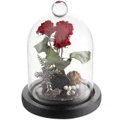 1Pc Glass Dome Cover