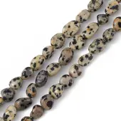 Natural Dalmatian Jasper Beads Strands