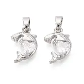 Brass Micro Pave Clear Cubic Zirconia Charms