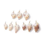 Natural Shell Pendants