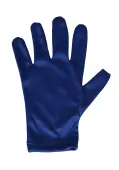 Blue Gloves