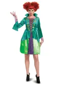 Adult Disney Hocus Pocus Classic Wini Costume Dress | Disney Costumes