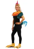 Deluxe Disney Moana Hei Hei Costume Kit | Disney Accessories