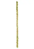 Seaweed Boa