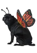 Monarch Butterfly Pet Costume | Halloween Costumes for Pets