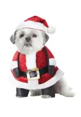 Santa Suit Costume for Pets | Pet Costumes