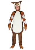 Owl Costume for Adults