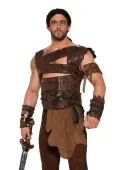 Medieval Warrior Armor Men's Costume