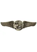 Steampunk Antique Gear Wing Pin