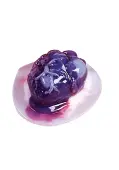 Heart Gelatin Mold